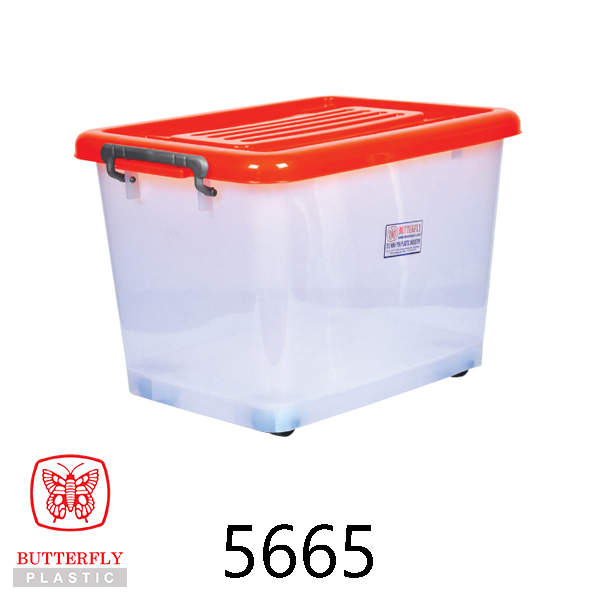 Plastic Storage Box / Transparent Box with Lid
