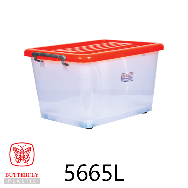 Plastic Storage Box / Transparent Box with Lid